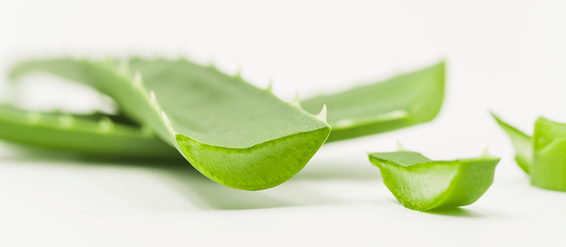 Alo Vera: 3 Mitos e Verdades sobre este ingrediente para a Pele